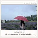하늬공원(공공용지내) | [뚜벅이 여행] 여담 당일치기 고성 라덴더 당일 패키지 내 돈 내산 후기_26.06.20