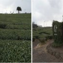 동광리농촌체험휴양마을 이미지