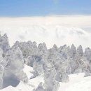 제주궁전 이미지