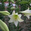 주역강의 이미지