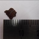 (주)송학식품(제1공장) 이미지