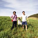 똘똘이 목장 이미지