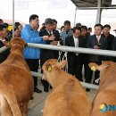 남면축산 이미지