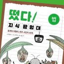 스텝업논술