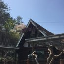 다운로 | 울산 다운동 산장 분위기 식당_캐빈하우스