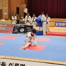 타이거 합기도 본관 이미지