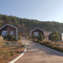 소백산자연휴양림 이미지