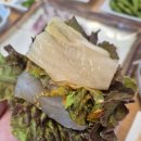 이까회물회 | 대구 달서구 감삼동 죽전 네거리 모듬회 맛집 횟집 [이까회물회]