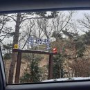 숙이뜰 네이버블로그