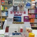 새연희약국 이미지