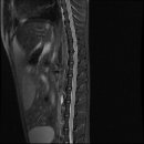 24시 온누리동물메디컬센터 이미지