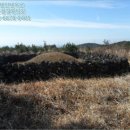 남원읍-14 이미지