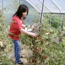 미영농장 이미지