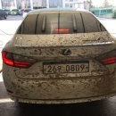 에스디테일링샵 이미지