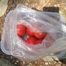 윤창세선생 묘소일원 | 봄 하남 검단산 주말산행 (신곡초등학교 ~ 검단산 ~ 유길준묘 ~ 애니메이션고등학교)