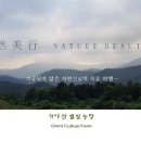 별빛소랑 이미지