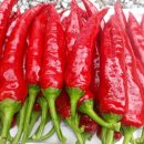 한근농장 이미지