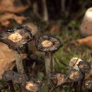 산포별장 이미지