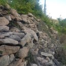 호남가축병원 | 23.08.절이도목장성