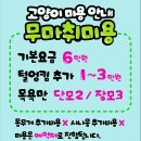 캣츠홀릭캐터리 | <군포고양이무마취미용> 캣츠홀릭 터키시앙고라 고양이미용 후기