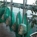 법환 어촌계 이미지