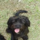 부안아리울승마장 이미지