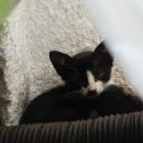 반디의꿈 이미지