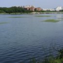 계양동 Daum카페