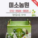 토종흰민들레식품