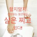 바로점핑다이어트 이미지