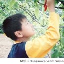 최광현농장 이미지