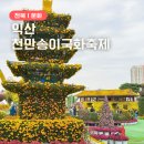 세븐일레븐 익산인화중앙점 | 전북 익산 천만송이국화축제 기본정보 주차장 먹거리 후기