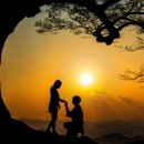 사랑나무 이미지