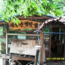 대운산 내원암 계곡 이미지