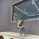 김해유치원 이미지