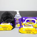 포포(For paw) 이미지