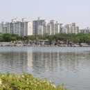 일산호수공원 이미지