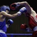 엘리트 복싱 이미지