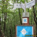 분당-335 이미지