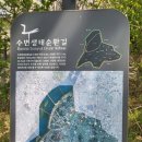 여의도 샛강생태공원