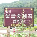 물골숲매점 - 11304 | 물골숲매점