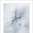 호모사피엔스 이미지