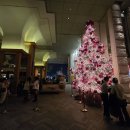 서울클럽 이미지