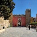 궁전 | 세비야 알카사르 궁전 무더웠던 여름 입장 후기