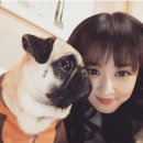 최강동안 이미지