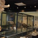 산청산골박물관 이미지