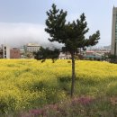 항구회관