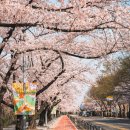 여의나루역 3번 출구 횡단보도 이미지