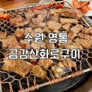 경기도 수원시 영통구 매영로247번길 | 수원 영통 돼지갈비 맛집 금강산화로구이 외식 방문 추천 후기