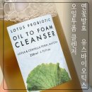 블랙로터스 | 오일에서 폼으로 한 번에! 연꽃발효 유스바이오틱스 오일투폼 클렌저 솔직 후기[#더퓨어로터스]